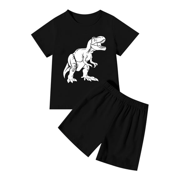Hienoo Toddler Boys Summer Outfits Dinosaur Print Short Sleeve T Shirt & Shorts Set, Sizes 2-3T