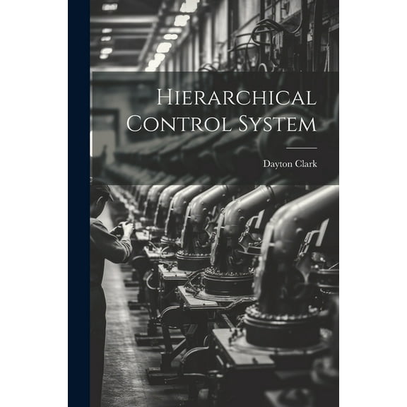 Hierarchical Control System (Paperback)