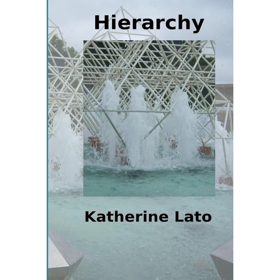 Hierarchy (Paperback)
