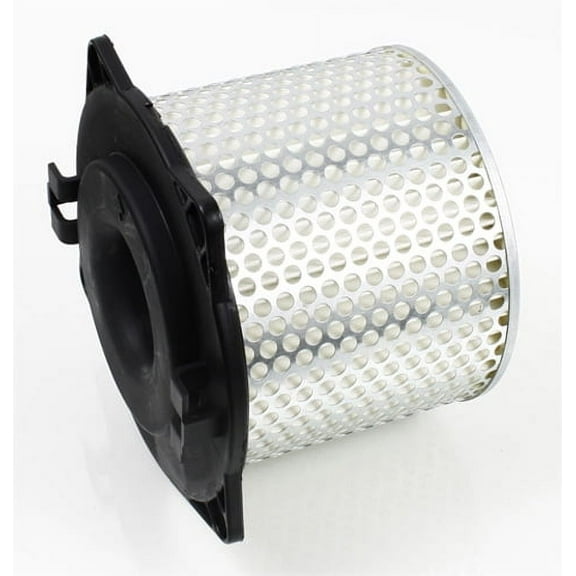 Hiflofiltro HFA3602 Premium OE Replacement Air Filter, Black