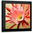 thumbnail image 1 of Higby, Jason 15x15 Black Modern Framed Museum Art Print Titled - Desert Bloom I, 1 of 5