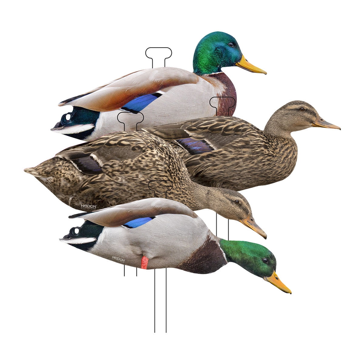 Higdon Decoys 13031 Flats Mallard Duck Standard Silhouette Duck Decoys, Pack of 12