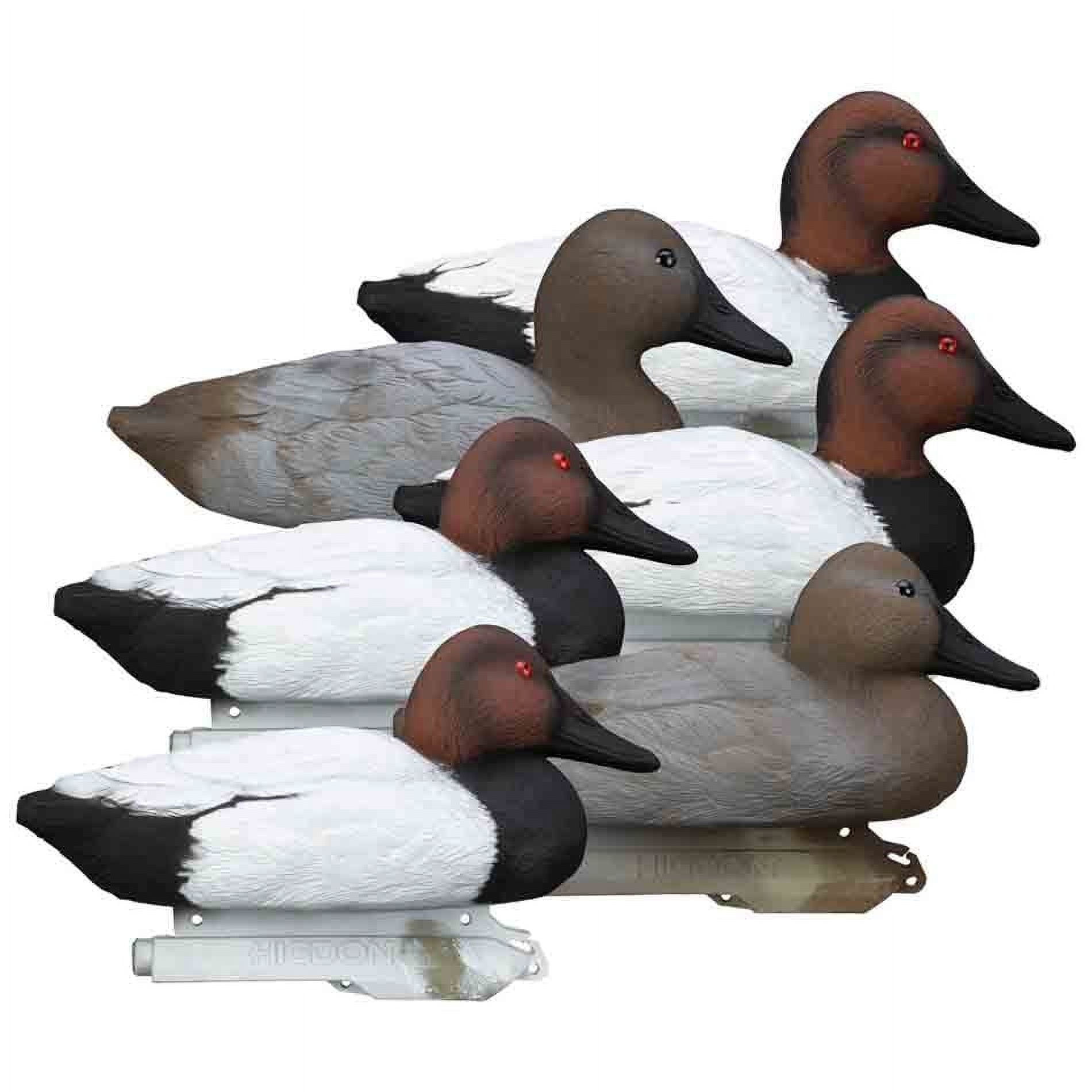 Higdon Foam Filled Floating Standard Canvasback Decoys, 6 Pack