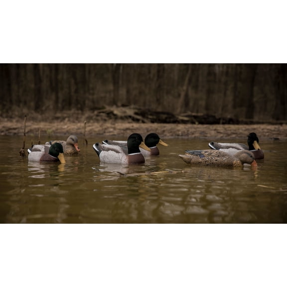 Higdon Magnum Mallards Flocked Heads Foam-Filled (Pk/6)