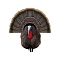 thumbnail image 1 of Higdon Apex Strutter Hard Body Turkey Decoy, 1 of 2