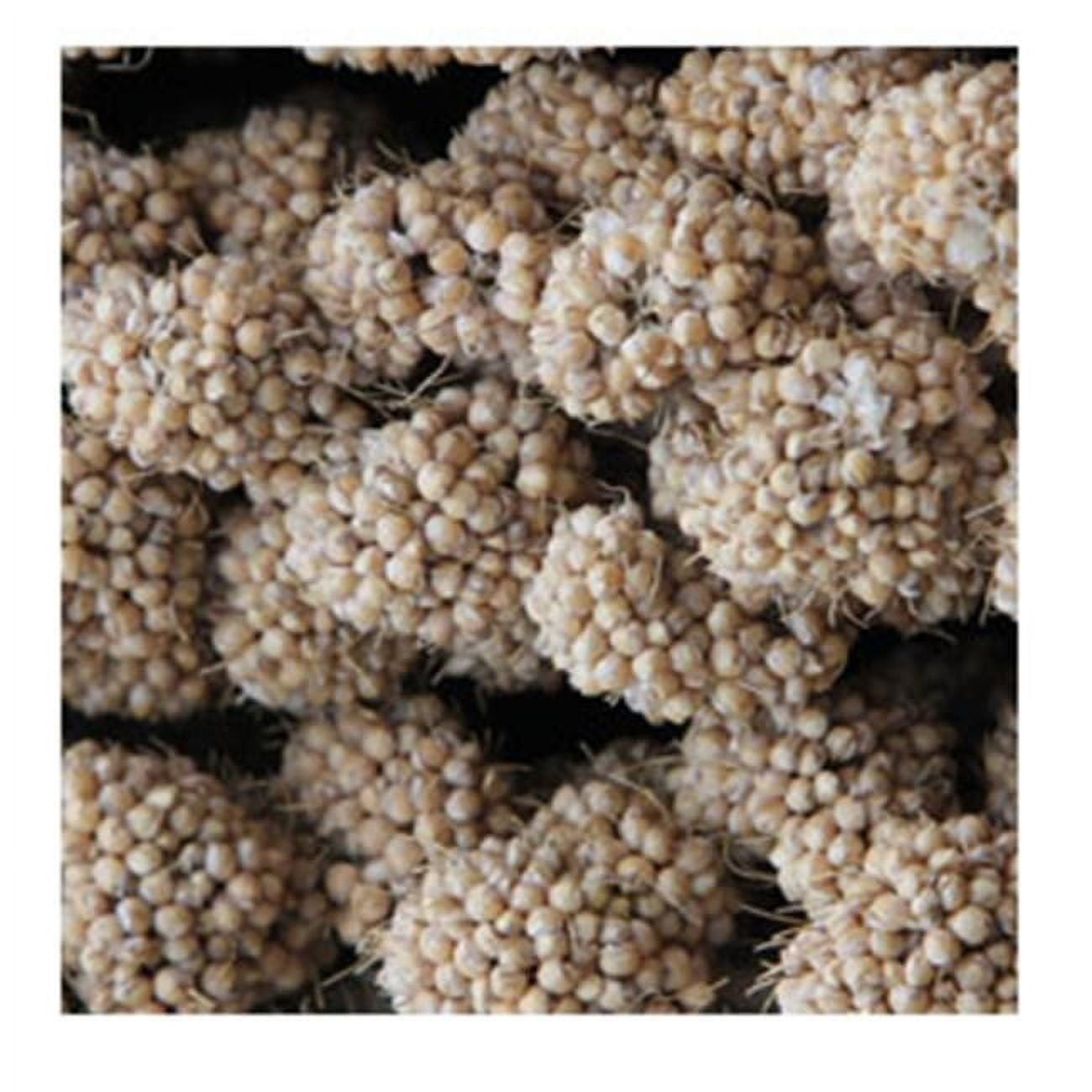 Spray millet 25 clearance lb