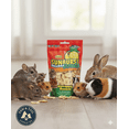 thumbnail image 1 of Higgins Sunburst Freeze Pineapple Banana Small Animal Treat .5oz, 1 of 5