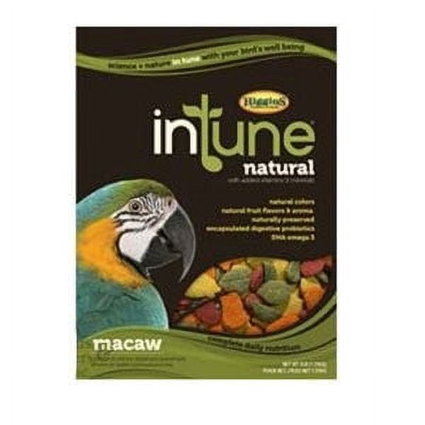 Higgins intune parrot food top