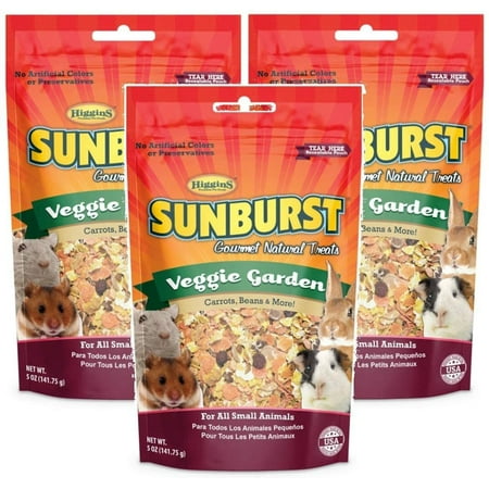 Higgins Sunburst Gourmet Natural Small Animal Treat Veggie Garden 5 oz.