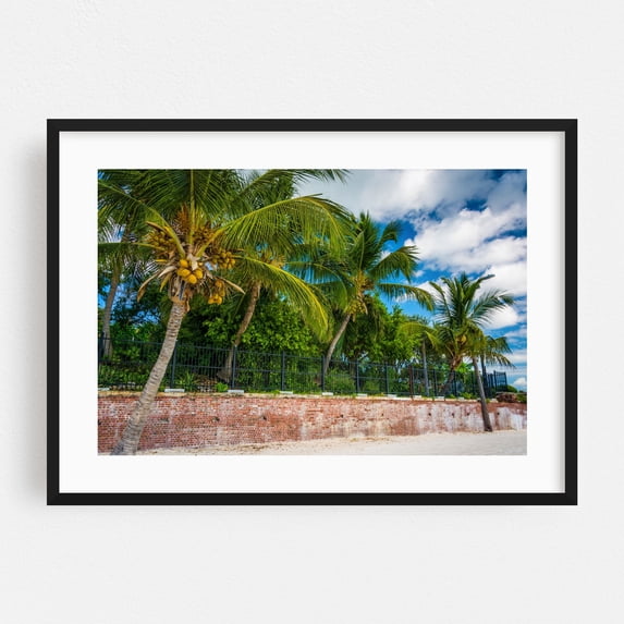 Higgs Beach Palms - Key West Florida Photography Palm Tree Tropical Beach Coastal Nature Scenic Landscape Black Framed Wall Art Print 5 x 7 inches