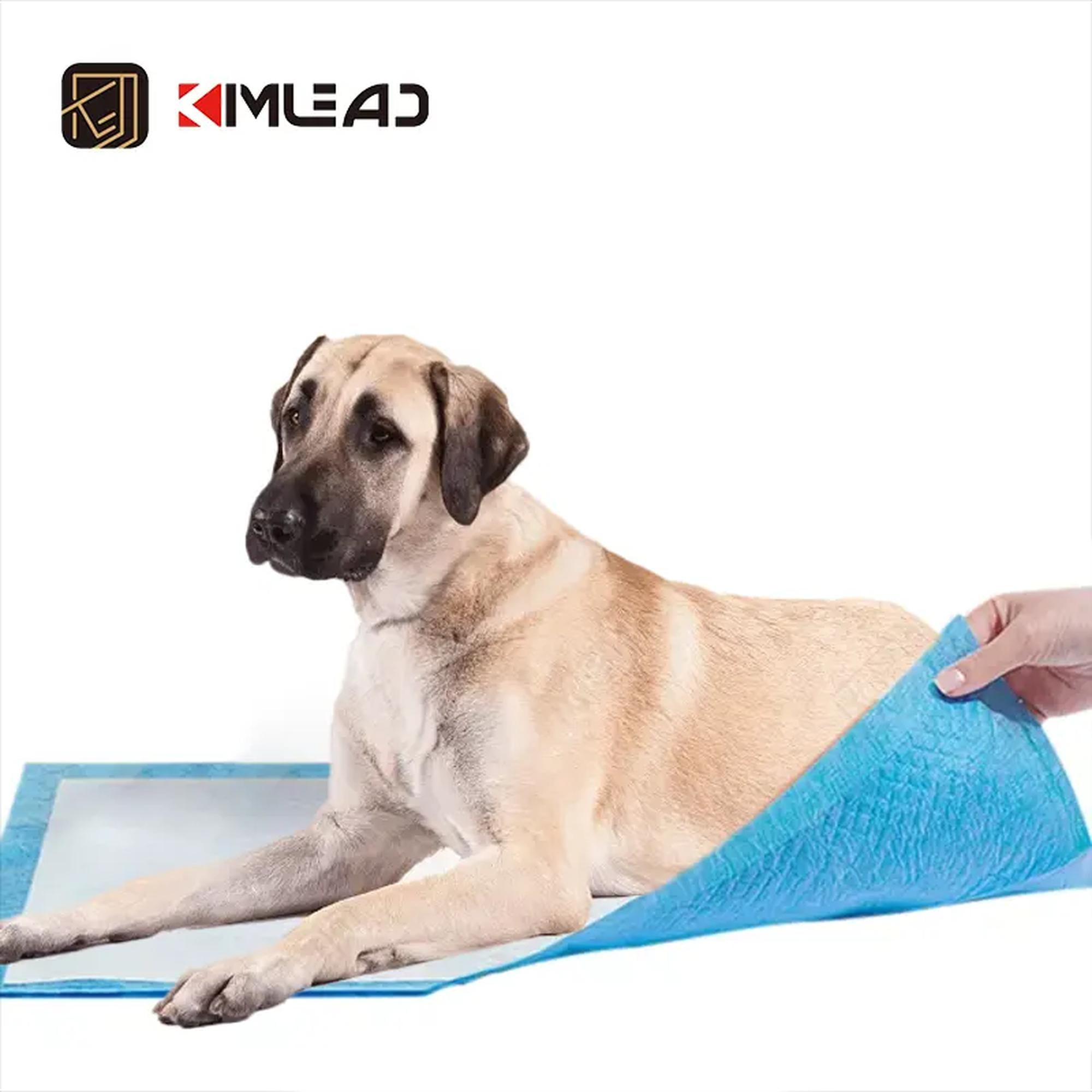 High-Absorbency Puppy Training Pads | Leak-Proof & Odor-Control Pet Pads |Training Pads Biodegradable Pads | Essential for New Pet Owners