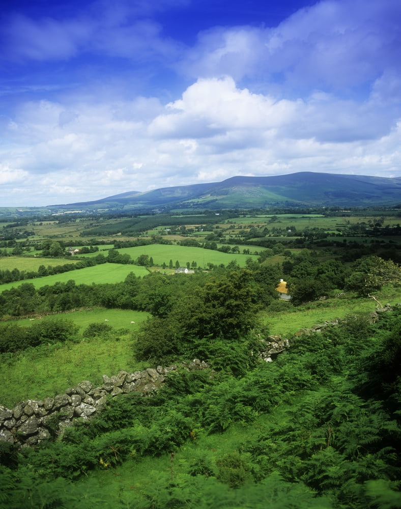 High Angle View Of Fields On A Landscape Derrynamuck County Wicklow Republic Of Ireland Canvas Art - The Irish Image Collection Design Pics (12 x 15)