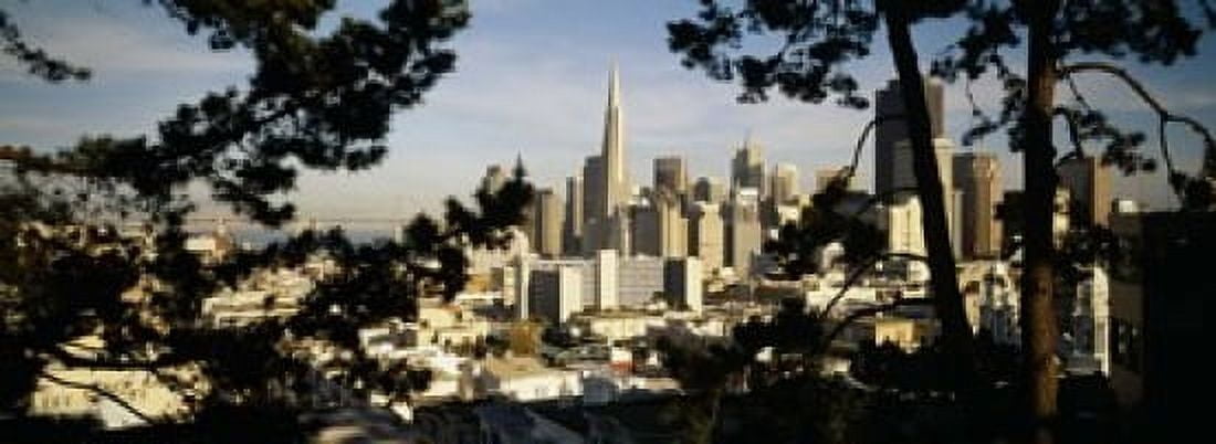 High Angle View Of A City San Francisco California USA Canvas Art - Panoramic Images (18 x 7)
