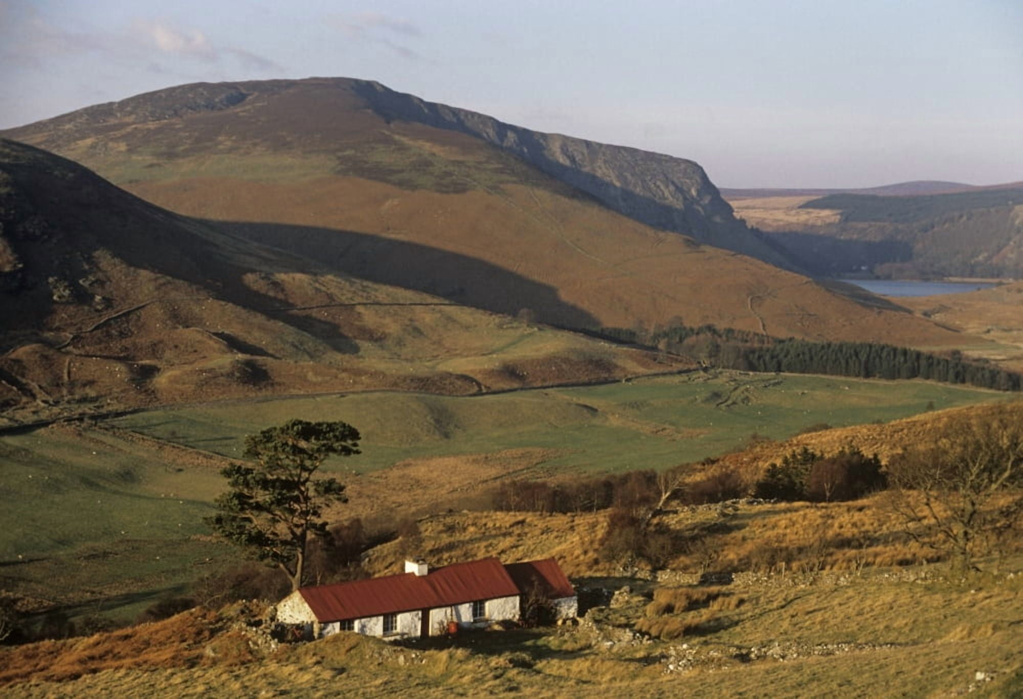 High Angle View Of A House County Wicklow Republic Of Ireland Canvas Art - The Irish Image Collection Design Pics (36 x 24)
