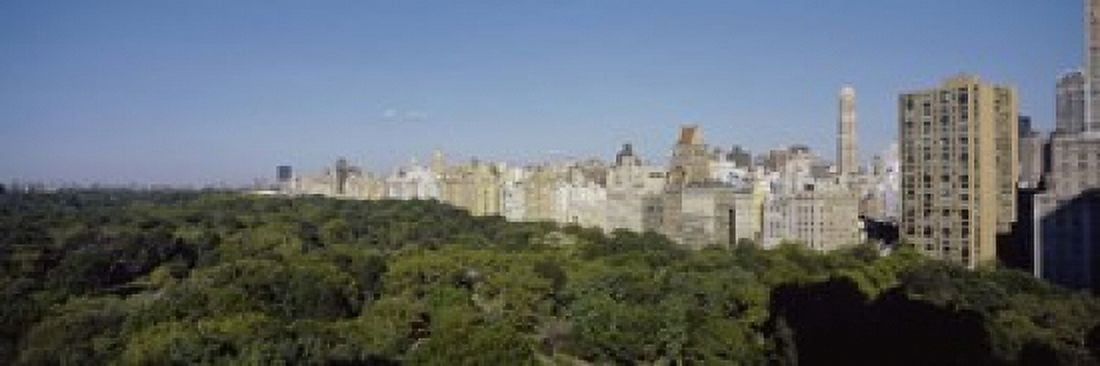 High Angle View Of A Park Central Park NYC New York City New York State USA Canvas Art - Panoramic Images (18 x 6)