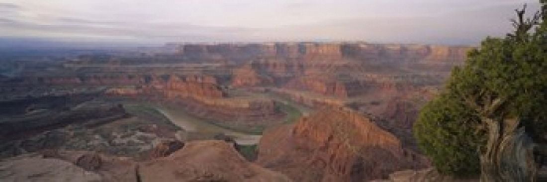 High Angle View Of An Arid Landscape Canyonlands National Park Utah USA Canvas Art - Panoramic Images (18 x 6)