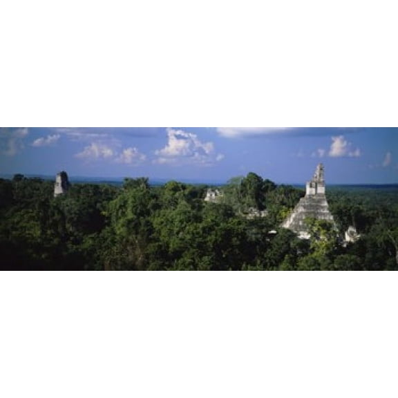 High Angle View Of An Old Temple Tikal Guatemala Canvas Art - Panoramic Images (18 x 7)
