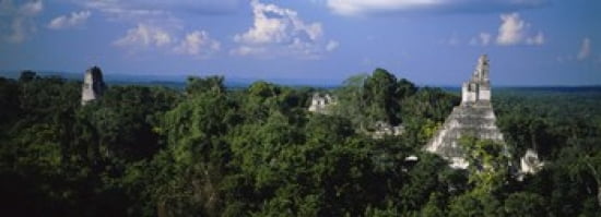 High Angle View Of An Old Temple Tikal Guatemala Canvas Art - Panoramic Images (36 x 13)