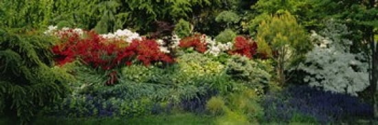High Angle View Of Flowers In A Garden Baltimore Maryland USA Canvas Art - Panoramic Images (36 x 12)