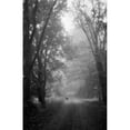 thumbnail image 1 of High Angle View of a Dog Standing in the Woods on a Path Poster Print - 18 x 24 in., 1 of 1