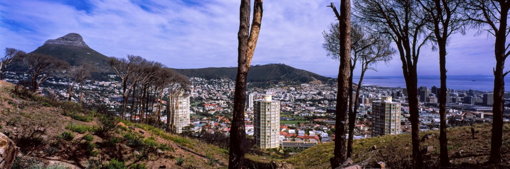 High Angle View of a city Disa Park Vredehoek Cape Town Western Cape Province South Africa Canvas Art - Panoramic Images (27 x 9)