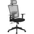 thumbnail image 1 of High Back Ergonomic Office Chair, Adjustable Lumbar Support & Headrest, Swivel Task Chair, Height-Adjustable Rocking Mesh Computer Desk Chair, for Home Office, Gray, 1 of 9