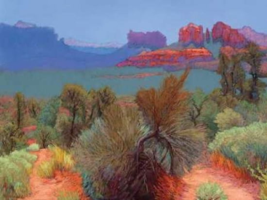 High Desert Canvas Art - Mary Silverwood (22 x 28)