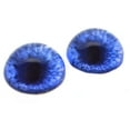 thumbnail image 1 of High Domed Blue Fox Glass Eyes, 1 of 5