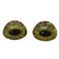 thumbnail image 1 of High Domed Hazel Human Glass Eyes, 1 of 3
