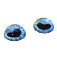 thumbnail image 1 of High Domed Light Blue Heart Pupil Glass Eyes, 1 of 4