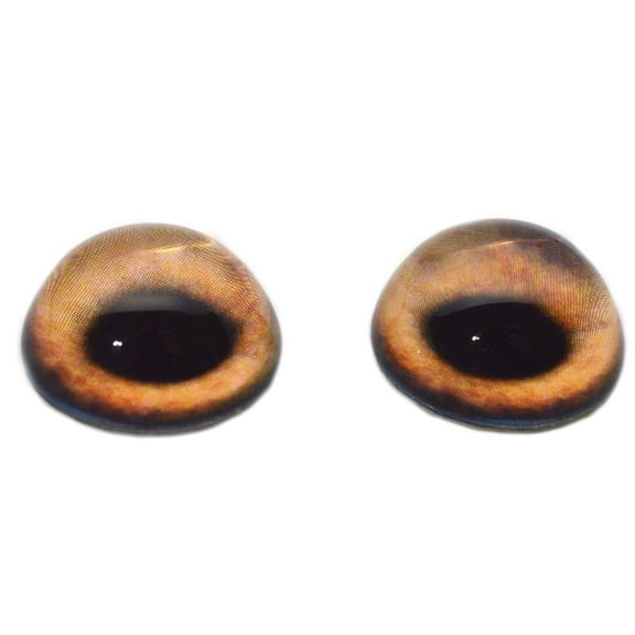 High Domed Light Brown Dog Glass Eyes