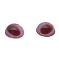 thumbnail image 1 of High Domed Red Albino Rabbit Glass Eyes, 1 of 5