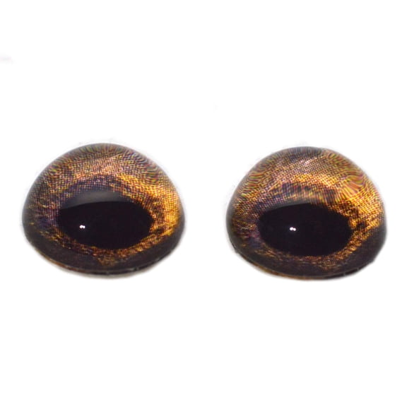High Domed Redtail Hawk Glass Eyes