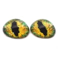 thumbnail image 1 of High Domed Transfixing Earth Dragon Glass Eyes, 1 of 4