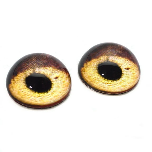 High Domed Vulture Bird Glass Eyes