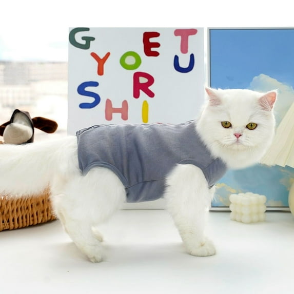 High Elasticity Easy To Put On And Take Off Bright Colors Sweat-Absorbent And Breathable Soft And Comfortable Cat Recovery Suit Skin-Friendly And Comfortable Gray S