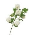 thumbnail image 1 of High End 5 Head Hydrangea Artificial Flower Silk Snowball Hydrangea Flower Wedding Arrangement Home Flower Art Landscaping Decoration,Artificial Flowers, 1 of 6
