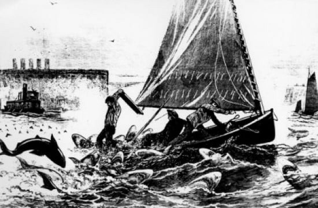 High Hooks of Yesteryear Fighting Sharks in New York Bay by unknown artist Canvas Art - (24 x 36)