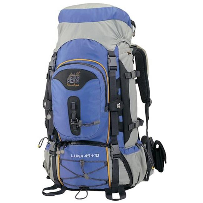 25l backpack hiking Patagonia Black Hole Pack Color:Olive Drab or traveling Herschel Supply Co. Boston Little America