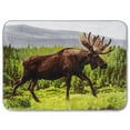 thumbnail image 1 of High Pile Oversized 60x80 Luxury Throw, One Size, Moose, 1 of 1