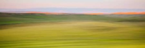High Plains Pano Canvas Art - Roberta Murray (8 x 24)