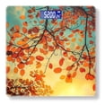 thumbnail image 1 of High Precision Body Weight Scale Smart Bathroom Scales with Large LCD Display(400lbs),Decorative for Bedroom-Autumn Leaves On Tree Branches Against The Sky At Sunset, 1 of 4