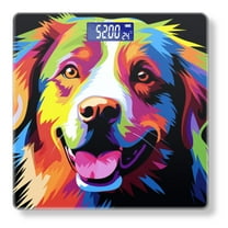 High Precision Body Weight Scale Smart Bathroom Scales with Large LCD Display(400lbs),Decorative for Bedroom-Bernese Mountain Dog Face With Colorful And Bold Colors