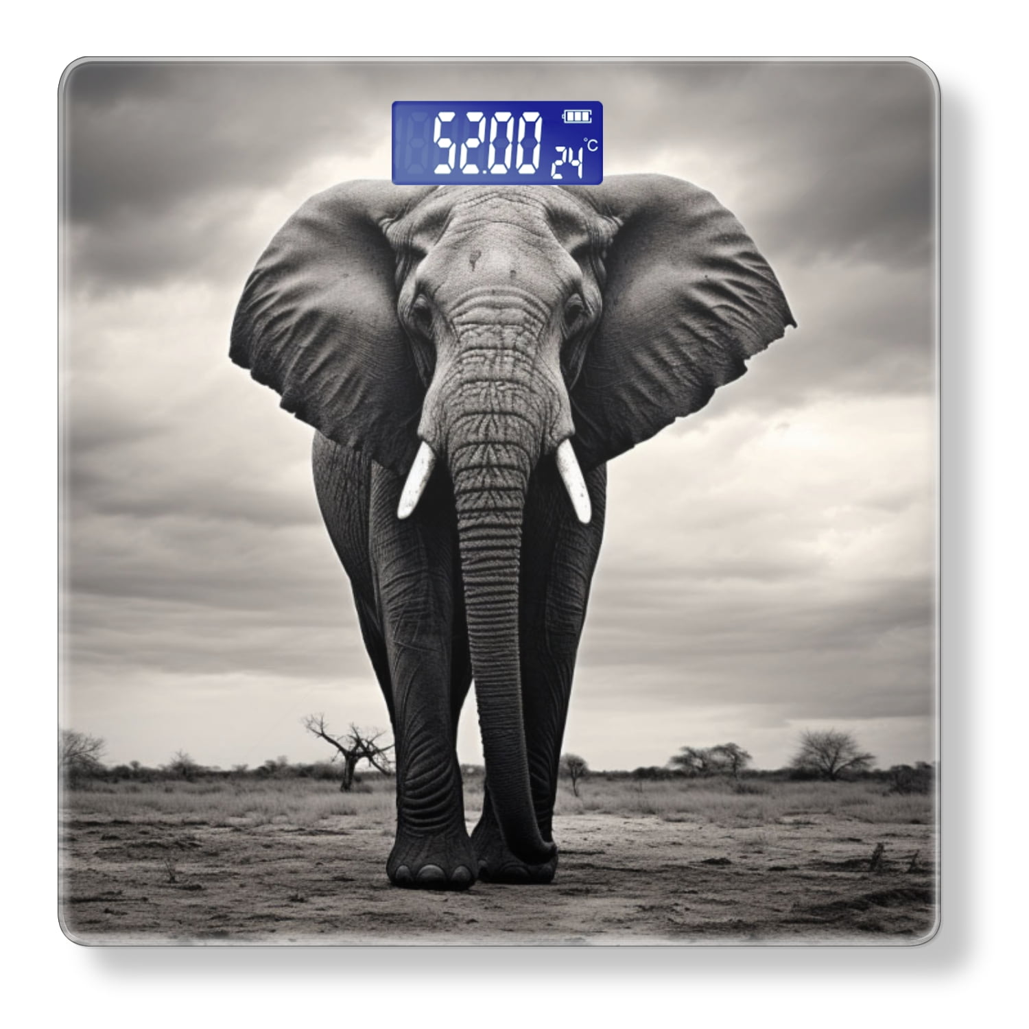 High Precision Body Weight Scale Smart Bathroom Scales with Large LCD Display(400lbs),Decorative for Bedroom-Black And White Elephant Stands On The Prairie