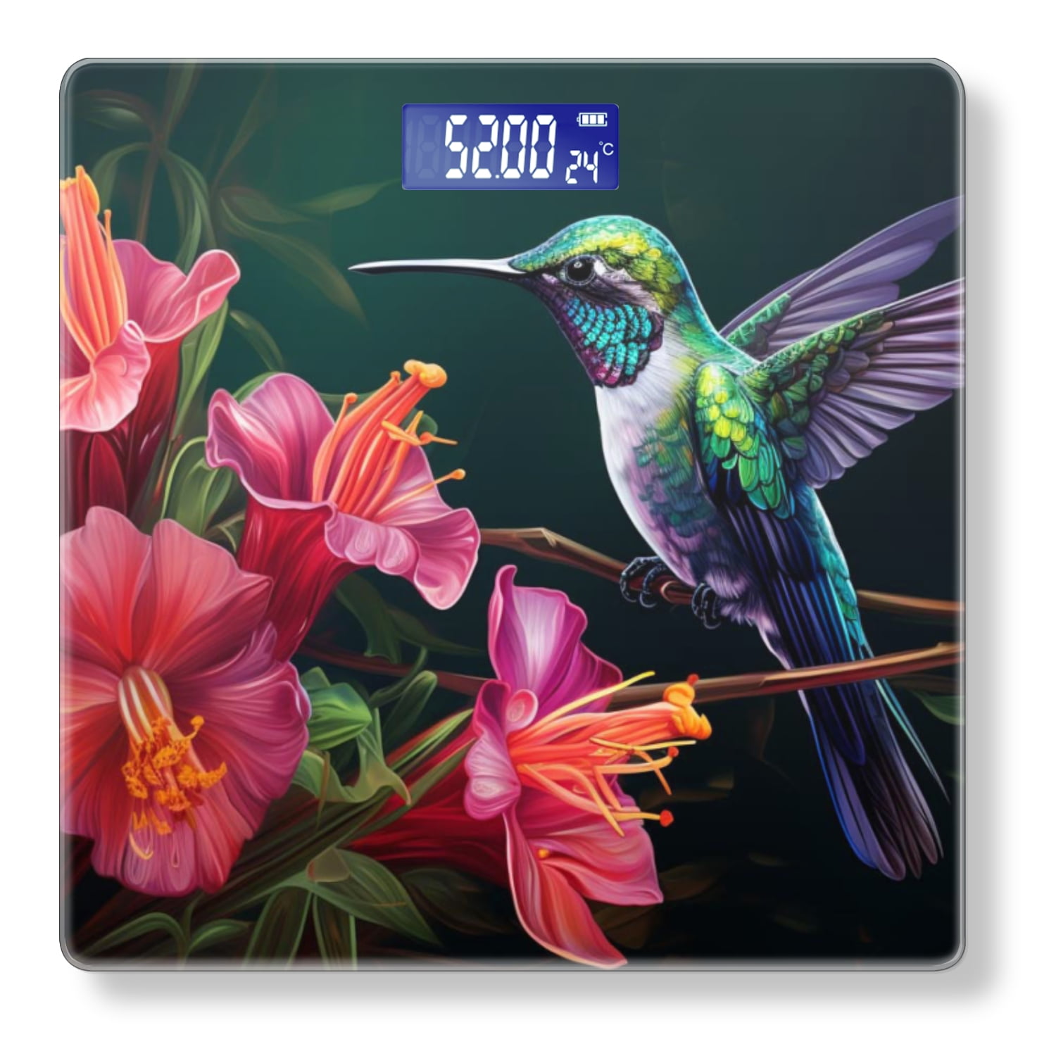 High Precision Body Weight Scale Smart Bathroom Scales with Large LCD Display(400lbs),Decorative for Bedroom-Colorful Hummingbird Sitting On The Branch Of Hibiscus Flowers