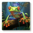 thumbnail image 1 of High Precision Body Weight Scale Smart Bathroom Scales with Large LCD Display(400lbs),Decorative for Bedroom-Colorful Red-Eyed Tree Frog Sitting On Branch In The Jungle, 1 of 4