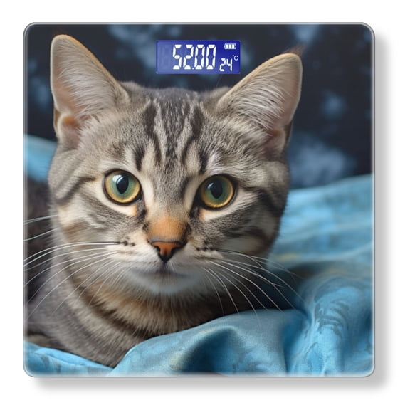 High Precision Body Weight Scale Smart Bathroom Scales with Large LCD Display(400lbs),Decorative for Bedroom-Cute Cat With Gray And Brown Stripes And Large Green Eyes