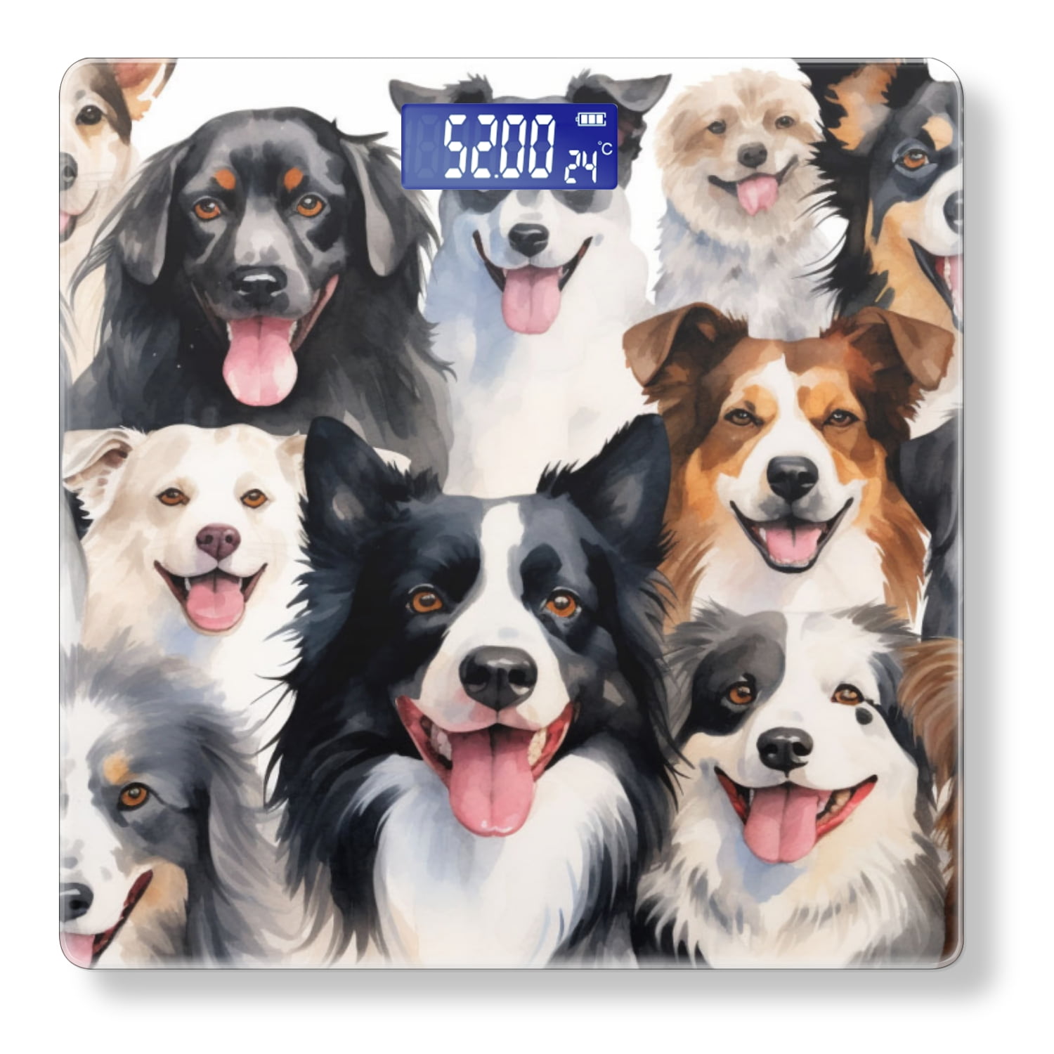 High Precision Body Weight Scale Smart Bathroom Scales with Large LCD Display(400lbs),Decorative for Bedroom-Different Border Collies Beaming With Smiles