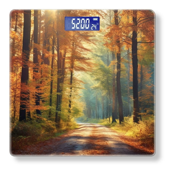 High Precision Body Weight Scale Smart Bathroom Scales with Large LCD Display(400lbs),Decorative for Bedroom-Forest Scene With Tall Trees And Sunlight Filtering Through The Leaves