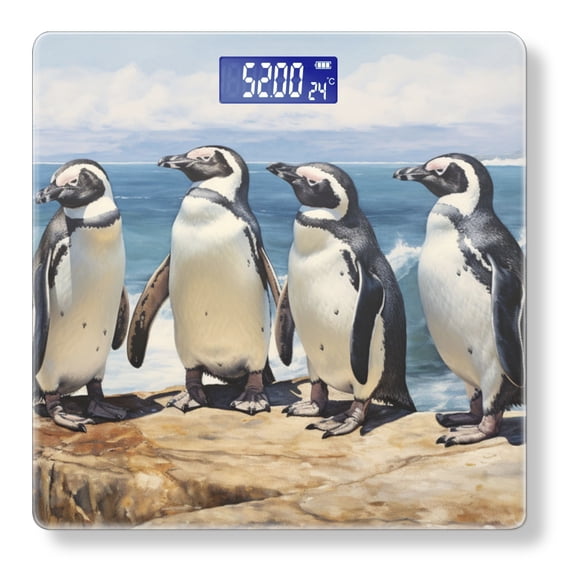High Precision Body Weight Scale Smart Bathroom Scales with Large LCD Display(400lbs),Decorative for Bedroom-Four African Penguins Standing On The Edge Of Ocean Cliff